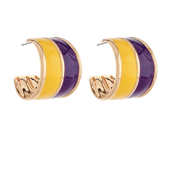 Wide Two Tone Acrylic Hoops - Picture 1 of 2